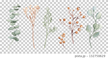 Watercolor winter botanical set with eucalyptus, dried grass, yellow Tansy, wild berries and delicate branches. Hand painted isolated elements perfect for Christmas design, wedding decor, packaging or Watercolor winter botanical set with eucalyptus, dried grass, yellow Tansy, wild berries and delicate branches. Hand painted isolated elements perfect for Christmas design, wedding decor, packaging or 132758629