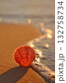 A vibrant orange scallop shell rests on a glistening sandy beach as a gentle wave washes over it, creating a beautiful bokeh effect of sunlight on water. Concept of coastal treasures and the ocean's e 132758734
