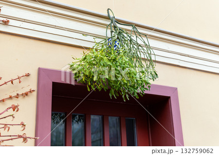 Green mistletoe with small white berries hangs on a red door, tied with a bright ribbon. Simple festive decoration brings cozy winter mood and holiday warmth to a traditional home entrance 132759062