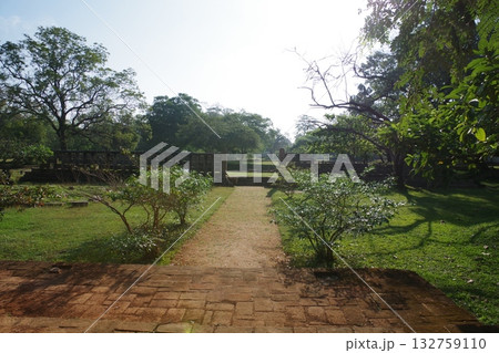 スリランカ　世界遺産　聖地アヌラーダプラ 132759110