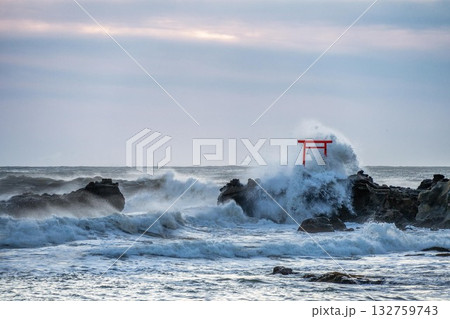 大荒れの太平洋にそびえる鳥居 132759743