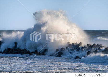 大荒れの太平洋にそびえる鳥居 132759752