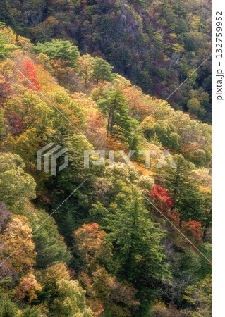 紅葉最盛期の二ッ箭山 紅葉最盛期の二ッ箭山 132759952