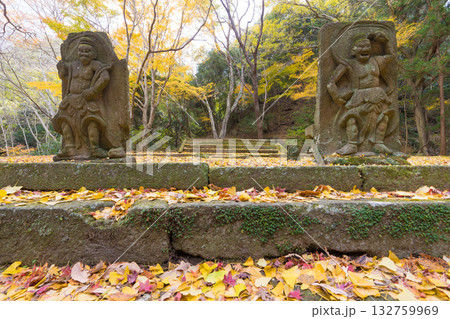 イチョウと仁王像（大分県国東市旧千燈寺） 132759969