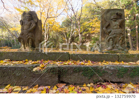 イチョウと仁王像(大分県国東市旧千燈寺) イチョウと仁王像(大分県国東市旧千燈寺) 132759970