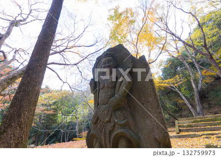 イチョウと仁王像（大分県国東市旧千燈寺） 132759973