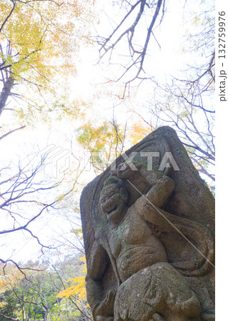 イチョウと仁王像(大分県国東市旧千燈寺) イチョウと仁王像(大分県国東市旧千燈寺) 132759976