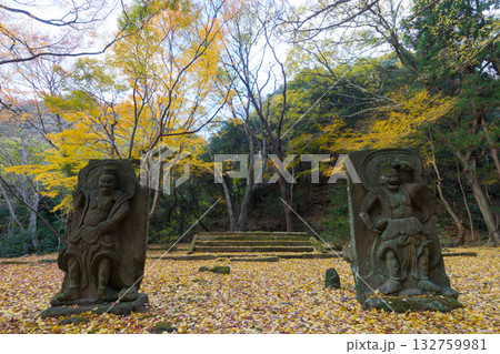 イチョウと仁王像（大分県国東市旧千燈寺） 132759981