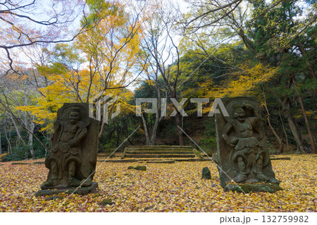 イチョウと仁王像(大分県国東市旧千燈寺) イチョウと仁王像(大分県国東市旧千燈寺) 132759982