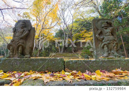 イチョウと仁王像(大分県国東市旧千燈寺) イチョウと仁王像(大分県国東市旧千燈寺) 132759984