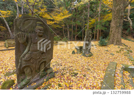 イチョウと仁王像(大分県国東市旧千燈寺) イチョウと仁王像(大分県国東市旧千燈寺) 132759988