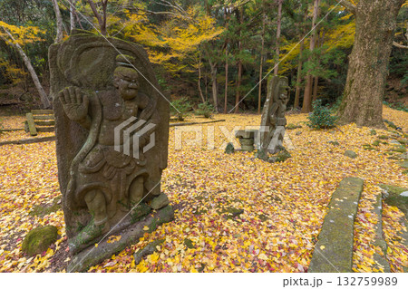 イチョウと仁王像(大分県国東市旧千燈寺) イチョウと仁王像(大分県国東市旧千燈寺) 132759989