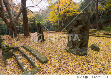 イチョウと仁王像(大分県国東市旧千燈寺) イチョウと仁王像(大分県国東市旧千燈寺) 132759991