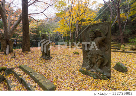 イチョウと仁王像（大分県国東市旧千燈寺） 132759992