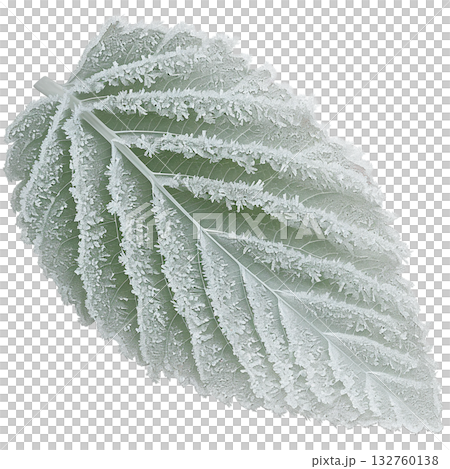 霜の付いた葉　冬のナチュラル素材　切り抜きイラスト 132760138
