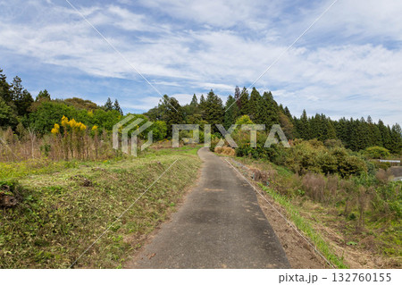岩櫃神社に続く田舎道　群馬県東吾妻町 132760155