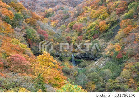 紅葉最盛期の日光 紅葉最盛期の日光 132760170