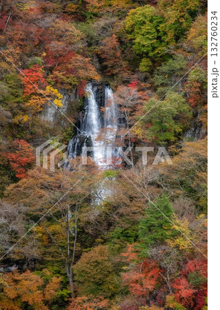 紅葉最盛期の日光 132760234