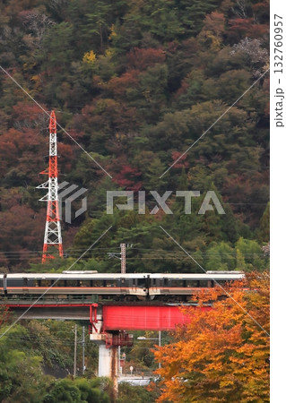 紅葉に染まる秋の木曽路を駆け抜ける383系特急ワイドビューしなの号_2025/11/2撮影 紅葉に染まる秋の木曽路を駆け抜ける383系特急ワイドビューしなの号_2025/11/2撮影 132760957