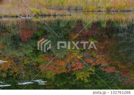 映る紅葉 映る紅葉 132761266