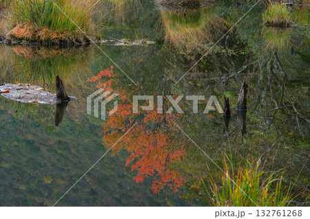 映るモミジ 映るモミジ 132761268