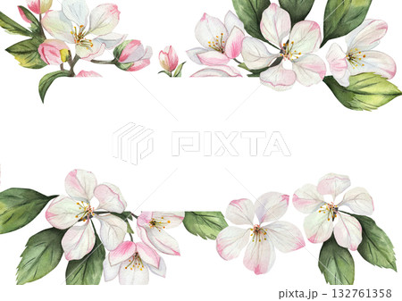 Watercolor frame with apple tree flowers and green leaves. Delicate white and pink flowers on white background. Space for text. 132761358