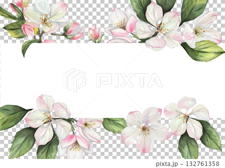 Watercolor frame with apple tree flowers and green leaves. Delicate white and pink flowers on white background. Space for text. 132761358