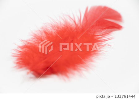 赤い羽根 132761444