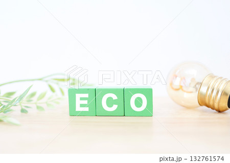 エコと電球のイメージ。節電や省エネ対策を表す。 132761574