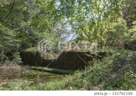 茨城　助川山市民の森の池（日立市） 132762188