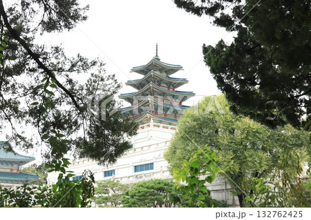 国立民俗博物館 132762425