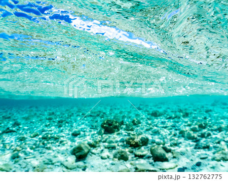 白砂のビーチの半水面撮影。美しいサンゴ礁と熱帯魚の群れ。 嘉比島沖縄県 島尻郡慶良間諸島座間味島 132762775