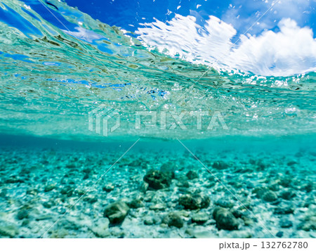 白砂のビーチの半水面撮影。美しいサンゴ礁と熱帯魚の群れ。 嘉比島沖縄県 島尻郡慶良間諸島座間味島 132762780
