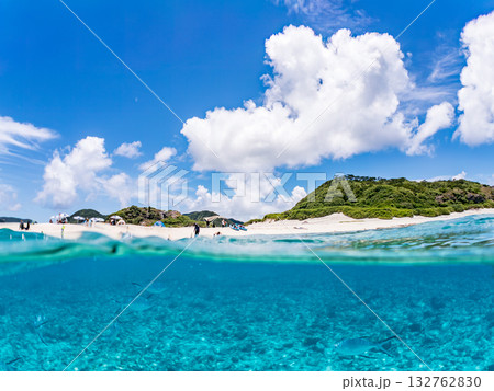 白砂のビーチの半水面撮影。美しいサンゴ礁と熱帯魚の群れ。 嘉比島沖縄県 島尻郡慶良間諸島座間味島 132762830