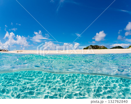 白砂のビーチの半水面撮影。美しいサンゴ礁と熱帯魚の群れ。 嘉比島沖縄県 島尻郡慶良間諸島座間味島 132762840