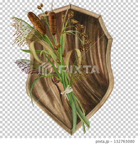 Marsh plants: cattail, reed, bulrush and oak shield. Watercolor illustration on a white background. For cards, scrapbooking, wallpaper, and textiles Marsh plants: cattail, reed, bulrush and oak shield. Watercolor illustration on a white background. For cards, scrapbooking, wallpaper, and textiles 132763080