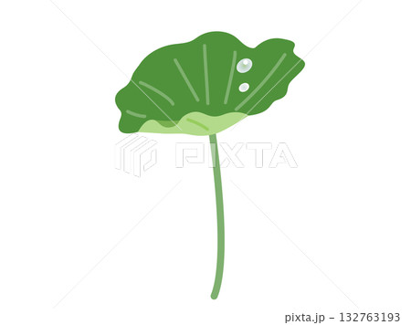 蓮の葉と水滴のイラスト 蓮の葉と水滴のイラスト 132763193