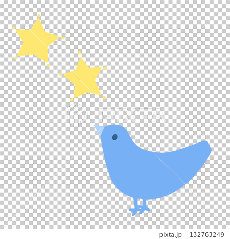 藍鳥凝望星空 藍鳥凝望星空 132763249