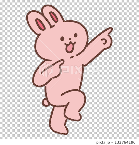 指をさすかわいいウサギ 指をさすかわいいウサギ 132764190