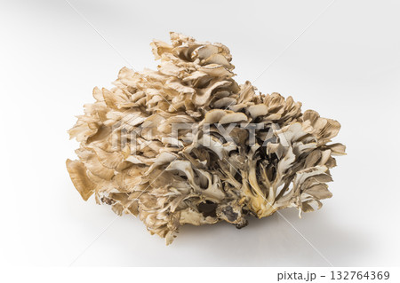 まいたけ まいたけ 132764369