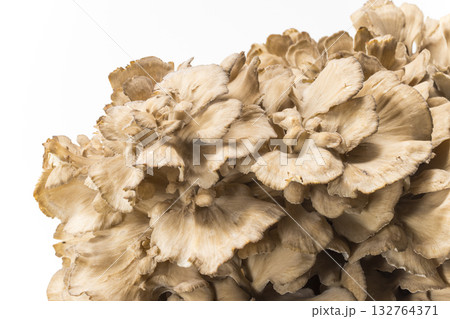 まいたけ 132764371