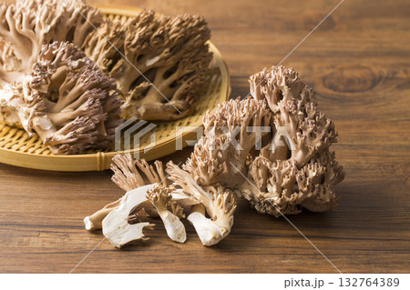 ザルに盛ったホウキタケ ザルに盛ったホウキタケ 132764389