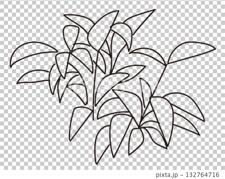 Vector illustration of exterior and garden planting Vector illustration of exterior and garden planting 132764716