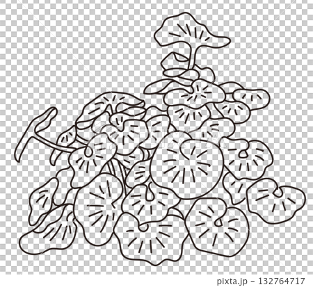 Vector illustration of exterior and garden planting Vector illustration of exterior and garden planting 132764717