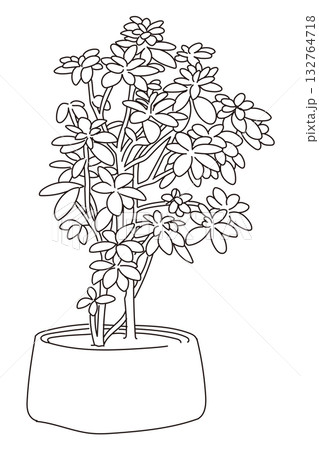 外構・庭植栽のベクターイラスト 外構・庭植栽のベクターイラスト 132764718