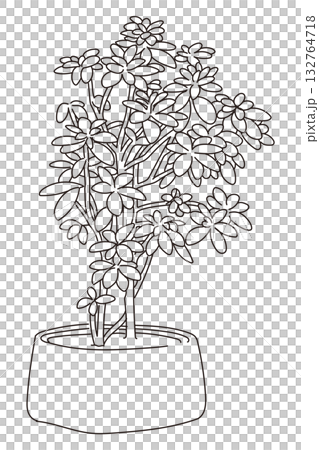 外構・庭植栽のベクターイラスト 外構・庭植栽のベクターイラスト 132764718