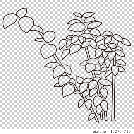 Vector illustration of exterior and garden planting Vector illustration of exterior and garden planting 132764719