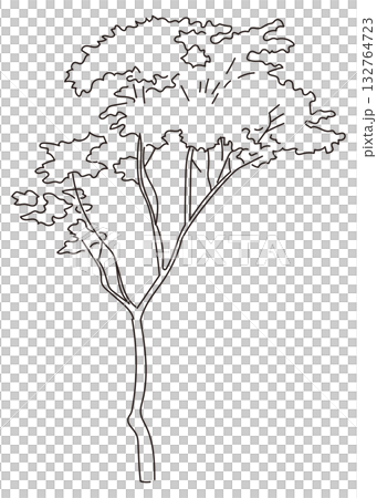 Vector illustration of exterior and garden planting 132764723
