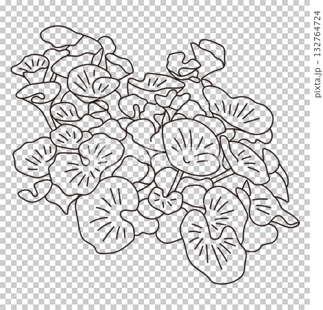 Vector illustration of exterior and garden planting 132764724