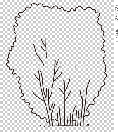戶外及花園植物的向量圖 戶外及花園植物的向量圖 132764725